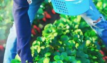 Tfboys甜虐恋（糖果和你的嘴角是什么味道）_350字