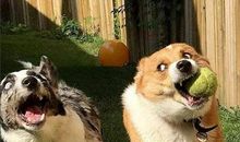 喜欢那样的轻狂、内心、不孤单