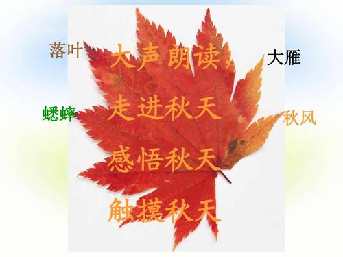  未经许可，不得转载