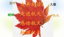 秋天的雨声_200字