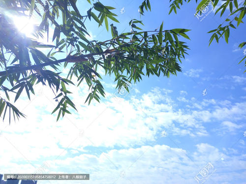 阳光上的组成：生活中有太阳_900字
