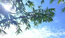 关于阳光的作文：生活处处有阳光_900字