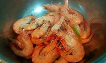 虾为什么会变色_550字