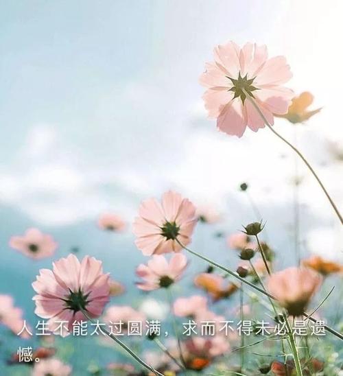 事实上，我不满意。