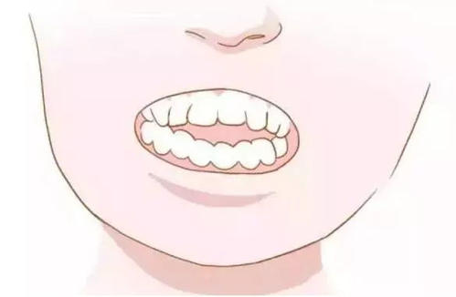 肚子