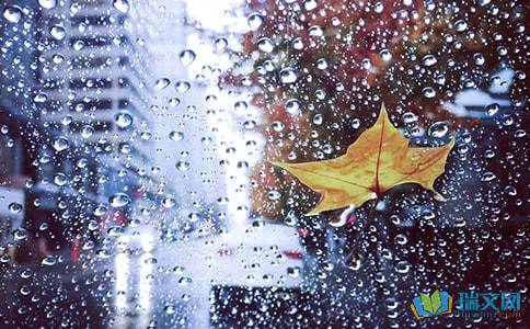 母亲爱在风雨中_750字