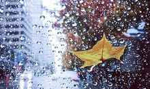 风雨中的母爱_750字