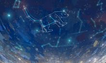 我发现了星星的_450字