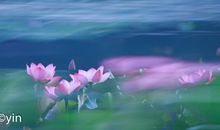 雨丝凉凉的划过忧郁的心