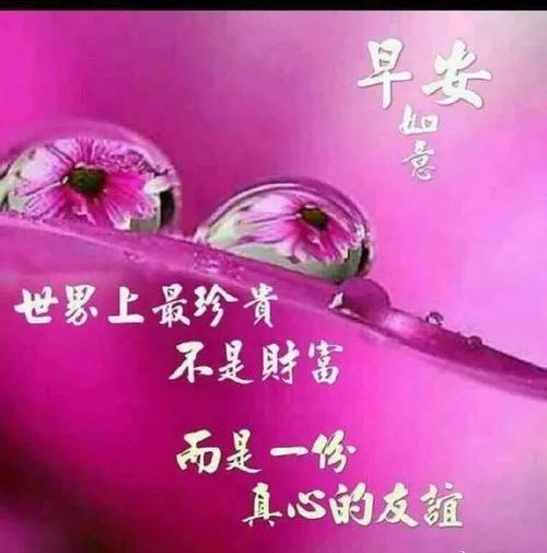 SMS问候：友谊问候_700字