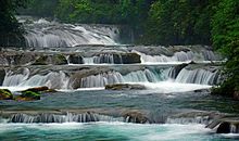 游乡村之第五天：清清的小溪_650字