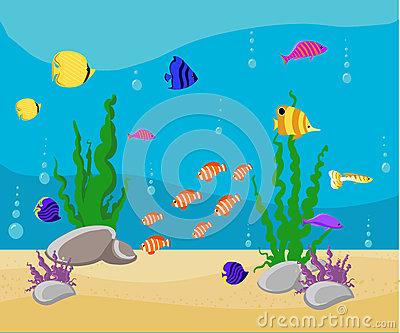 
现在你知道为什么你在寒冷的天气里跳到水中，你会发现冷水如此舒适？不幸的是，你不能长时间留在水中。