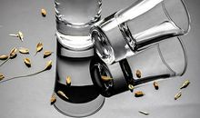 囚生：绝蛊酒_600字