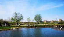 涓涓细流，淌过谁的心头？_1200字