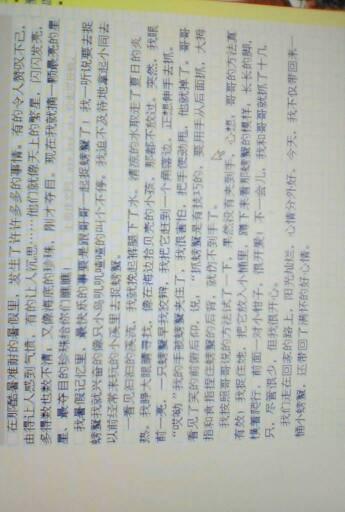 我们看右边，我们焦急地寻找风筝。哦，那个不卖的老爷爷。我们在前面买了一个“鹰风筝”。