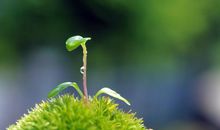 生命的力量_300字