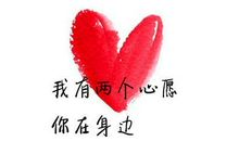 星愿（十一）_450字