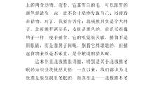 六年级童话寓言作文：动物大会_450字