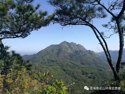 莲花山风景_550字