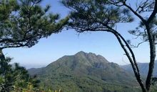 莲花山的风景_550字