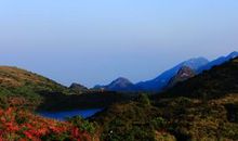 美丽的凤凰天池_400字