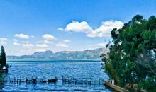 迷人的滇池_550字