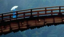 回忆的，我想念的_900字