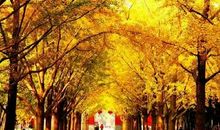 美丽的地坛公园_800字