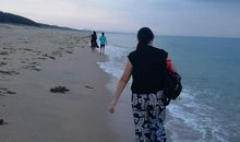 大海让我陶醉_1200字