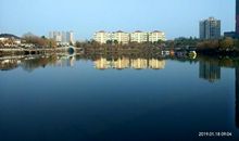 美丽的濒湖公园_400字