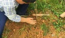 我是绿色小卫士_400字