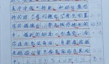 老师，请原谅我！_400字