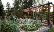 成功的种子_450字