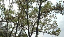 难忘这次远足_500字