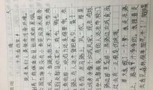 十年后的家乡_150字