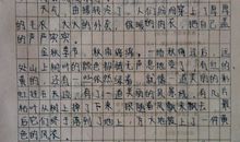 美丽的学校_350字