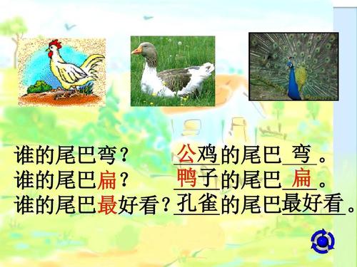 Ducketa国王