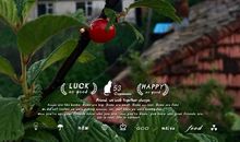 樱桃红了_1500字