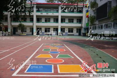 四年级：常青树