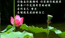 勤奋和懒惰_550字