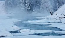 美丽的雪景_550字