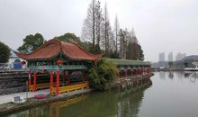 美丽的莲花山_450字