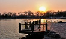 美丽的龙潭湖公园_350字