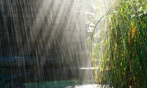 雨中的雨前_300字