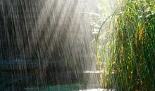 雨中的江边_300字