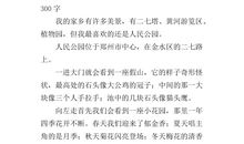 美丽的徐州_300字