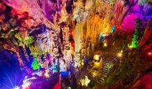 美丽的天鹅洞_500字