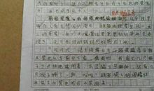 玩得真高兴_1000字
