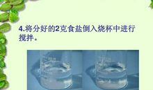 什么样的盐容易溶化_450字