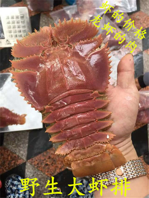 
鹰妈妈在天空中看到了小猫的piki并飞过了抓住小猫皮革，否则皮肤落到地上，绝对没有活着。猫妈妈冲了回来，看到小猫皮革几乎没有活着，害怕一个大跳，猫妈妈是非常感谢的鹰拯救小猫。